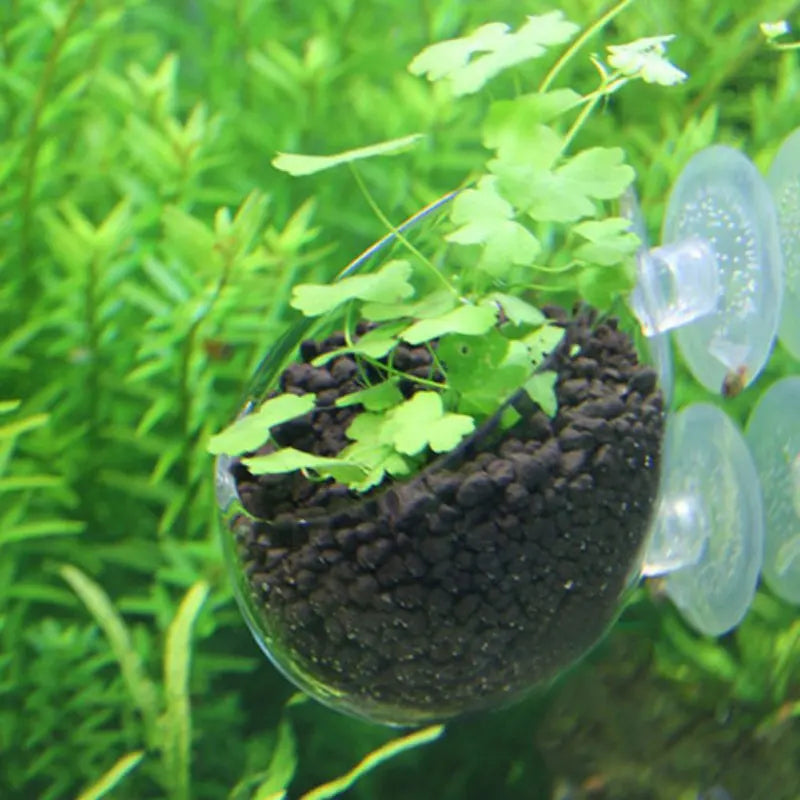 Aquarium Plant Cup With Suction Holder For Aquatic Decorations