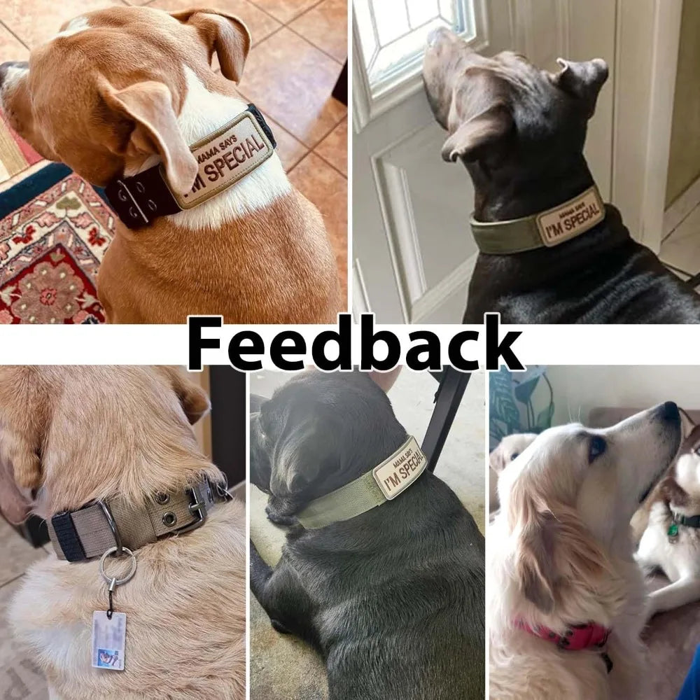 Military Style Dog Collar With Adjustable Nylon And Padded Comfort Metal Buckle