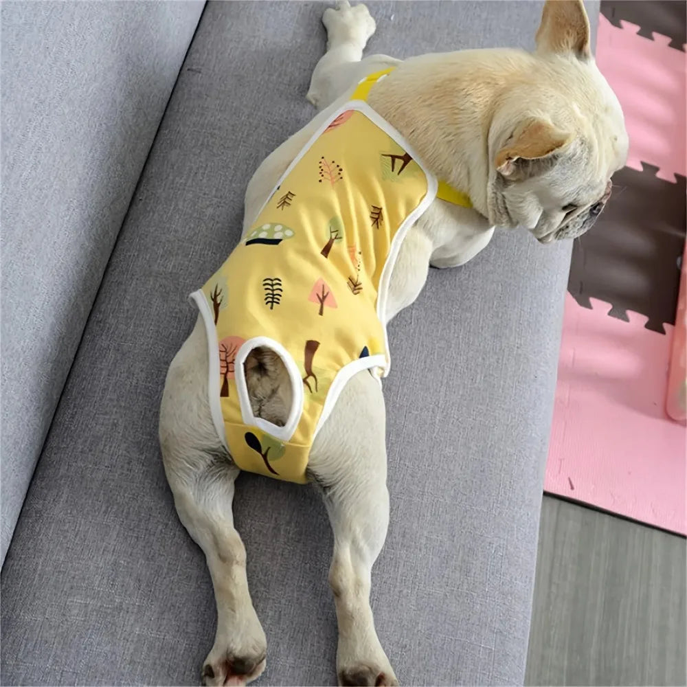 Reusable Female Dog Diapers With Buckle Adjustable Breathable Mesh Incontinence