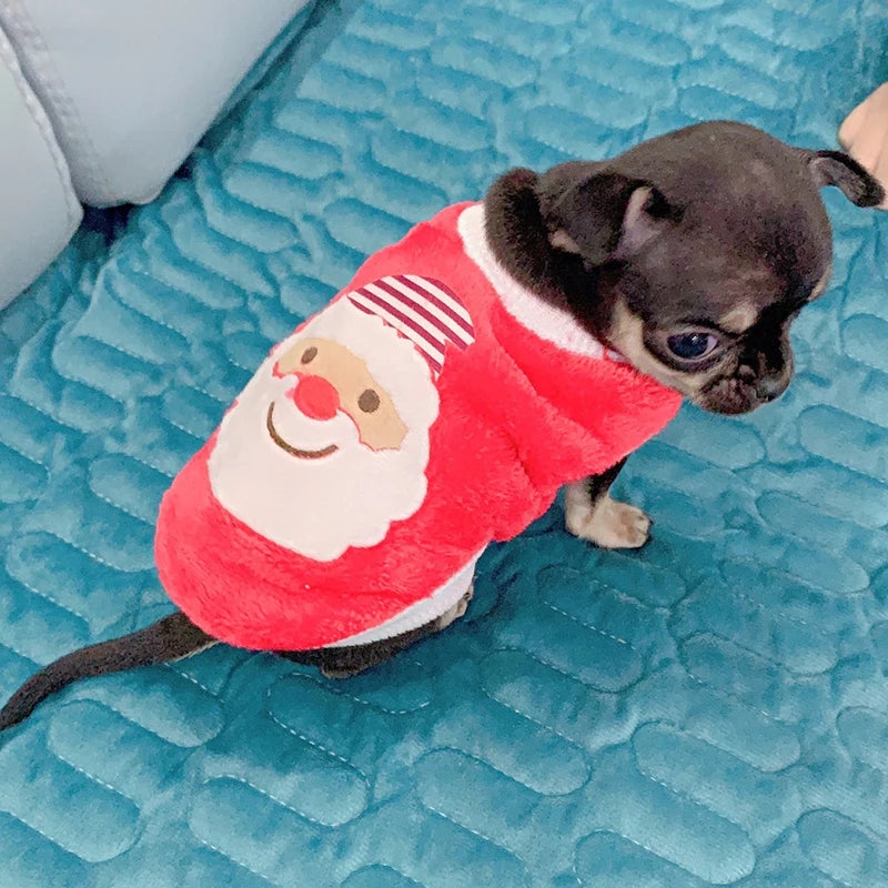Cute Tea Cup Dog Sweater Fleece Warm Coat Small Dogs