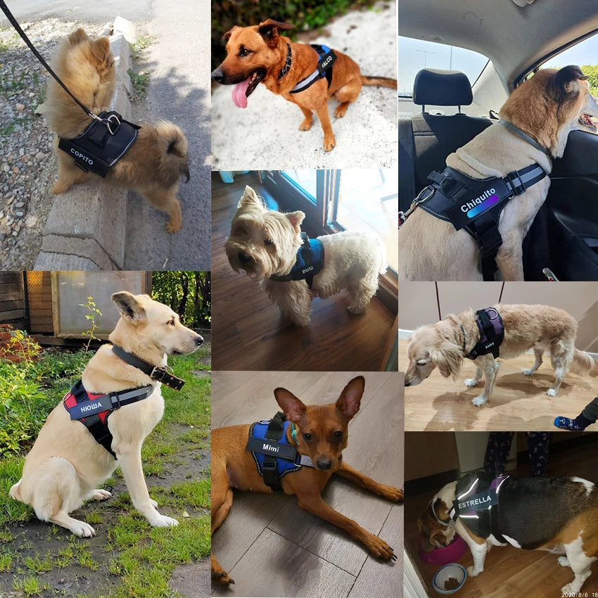 Bolux No Pull Reflective Breathable Adjustable Dog Harness Vest With ID Patch
