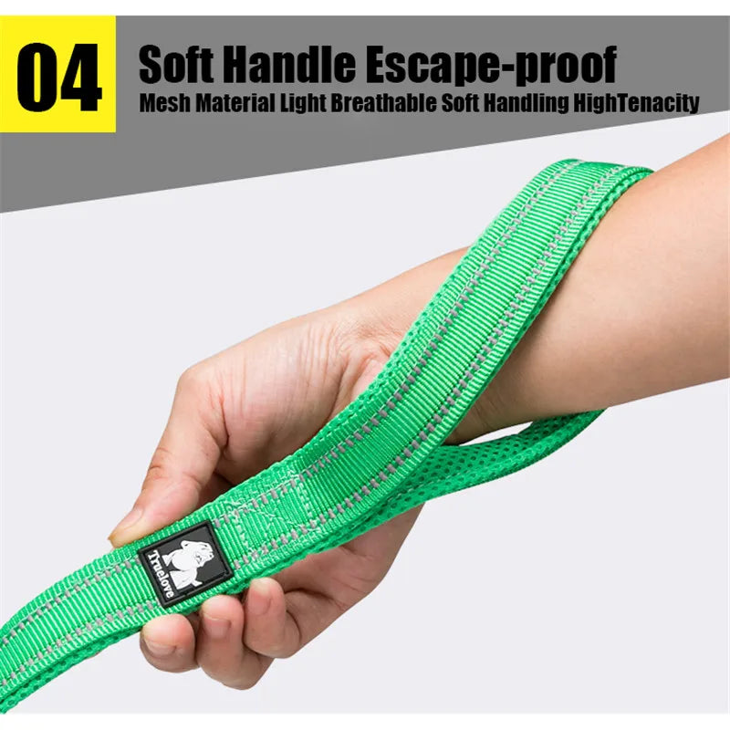 TRUELOVE Reflective Nylon Mesh Padded Pet Leash For Dogs And Cats