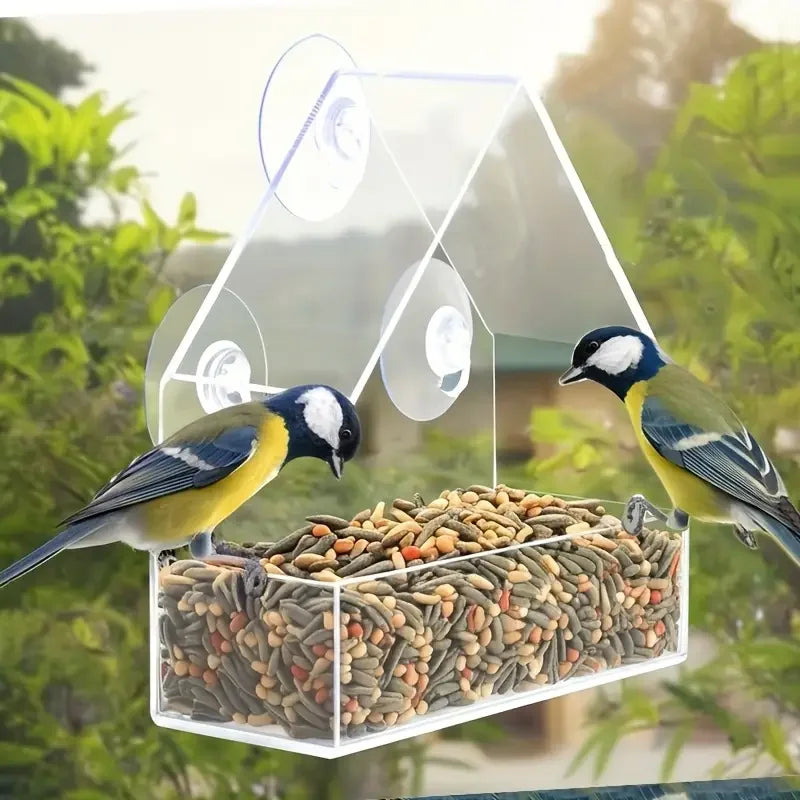 Transparent Acrylic Window Bird Feeder With Suction Cups For Birds
