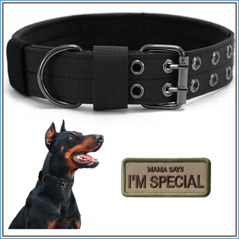 Military Style Dog Collar With Adjustable Nylon And Padded Comfort Metal Buckle