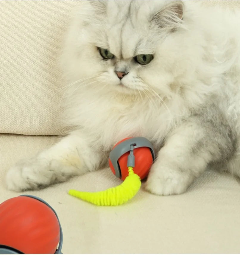 2in1 Cat Scratcher And Rolling Ball Toy Puzzle Play Set