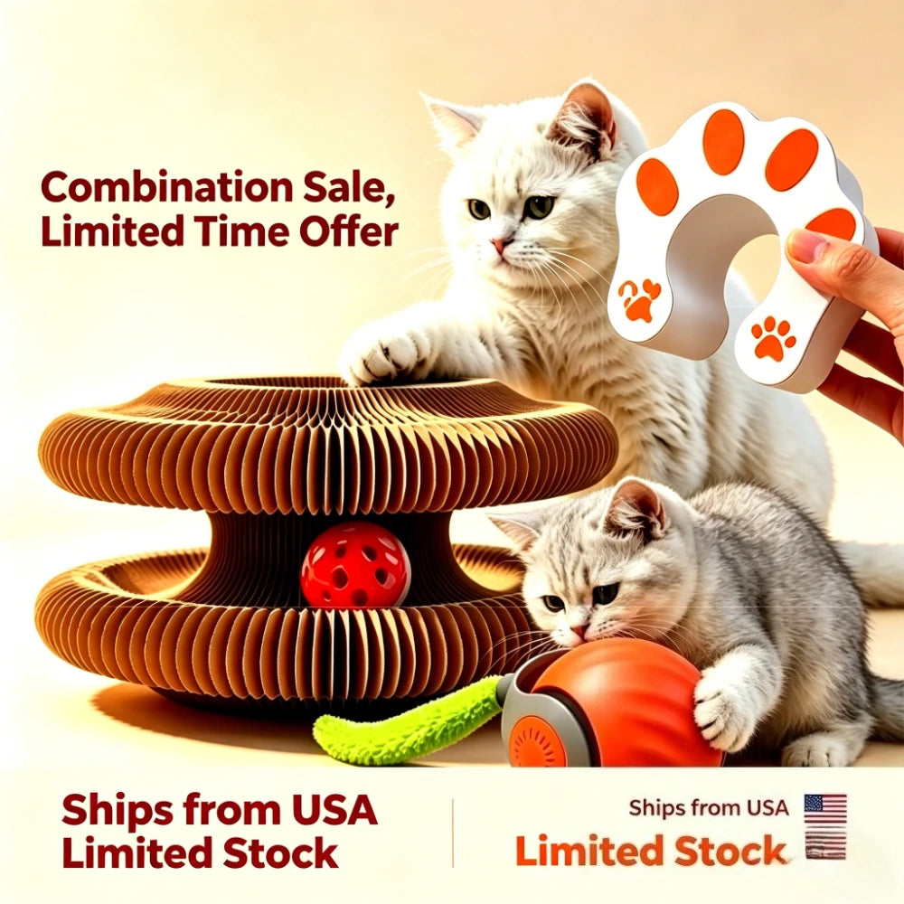 2in1 Cat Scratcher And Rolling Ball Toy Puzzle Play Set