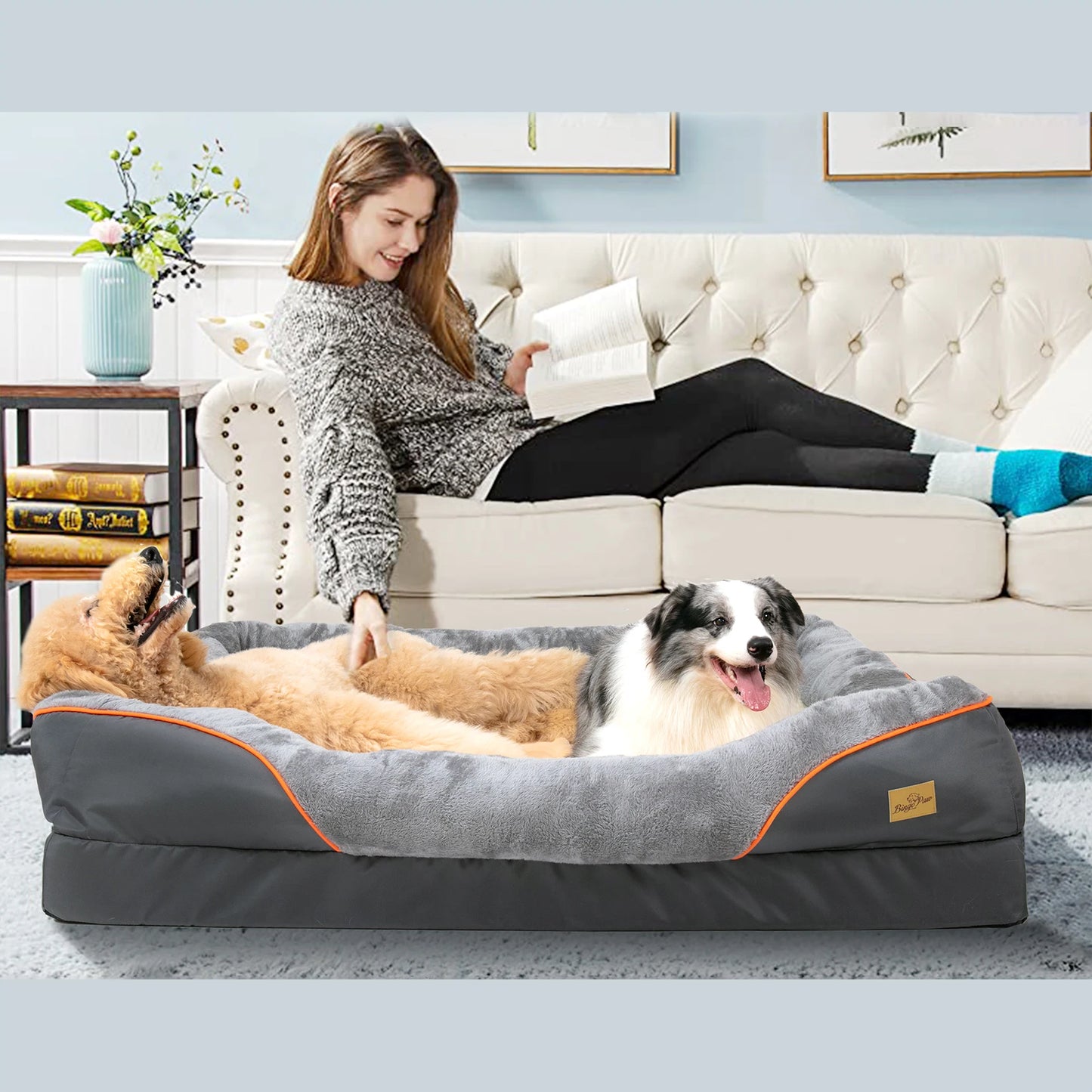 BINGOPAWCN Dog Bed Removable Washable Cover Anti Allergy