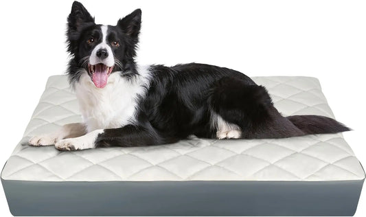 Orthopedic Memory Foam Dog Bed With Waterproof Faux Leather And Non Slip Base