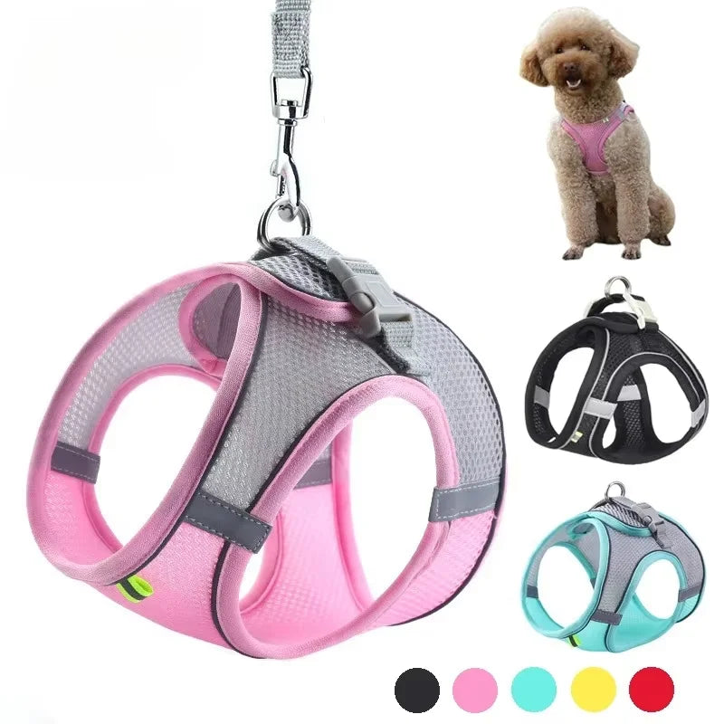 Dog Harness Leash Set For Small Dogs Adjustable Vest Lead