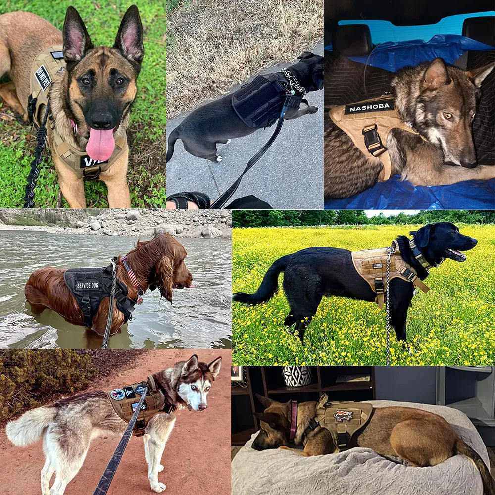 Nylon Dog Harness And Leash Set For Large Dogs Training Walking Vest