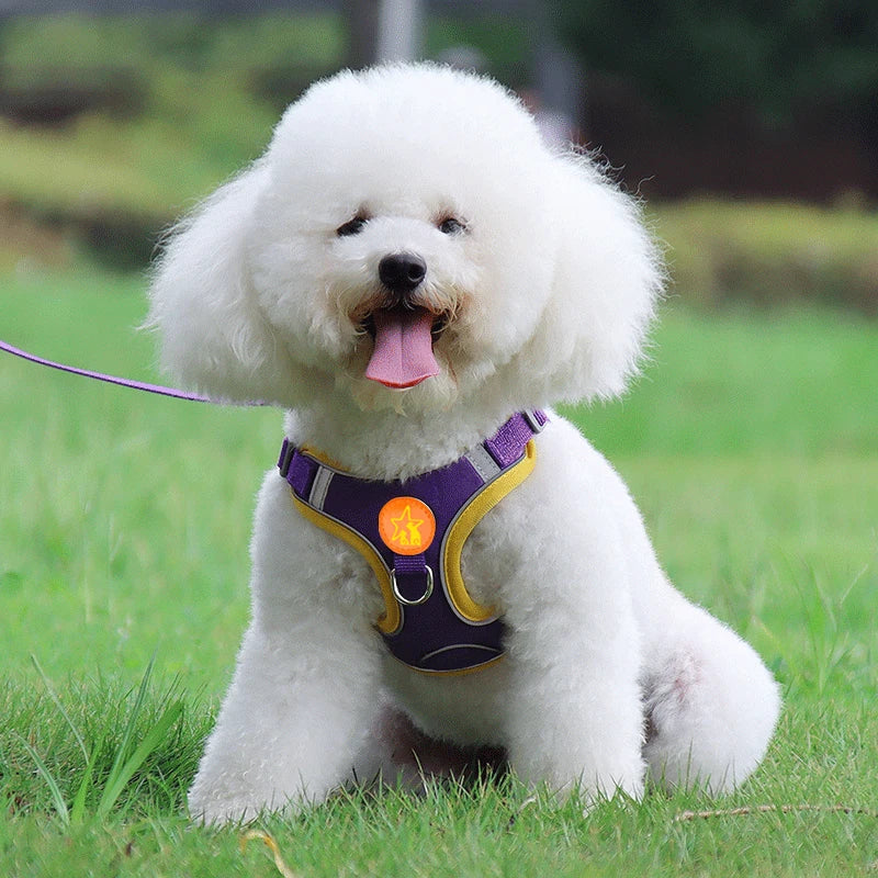 Dog Harness Vest Reflective Mesh Breathable for Small Medium Dogs