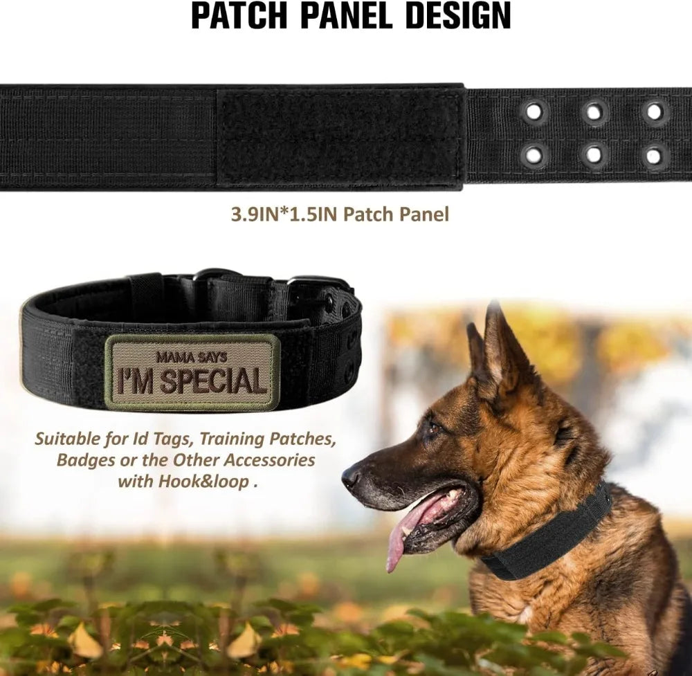 Military Style Dog Collar With Adjustable Nylon And Padded Comfort Metal Buckle