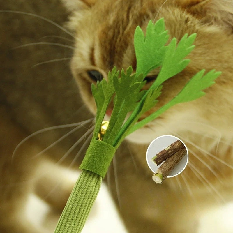 Cat Chew Toy Interactive Catnip Molar Stick With Bell For Cats