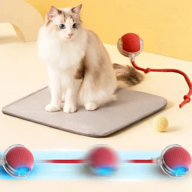 Rechargeable Automatic Rolling Ball Cat Toy Imitates Mouse
