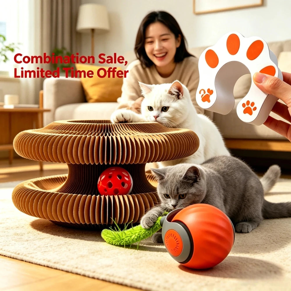 2in1 Cat Scratcher And Rolling Ball Toy Puzzle Play Set