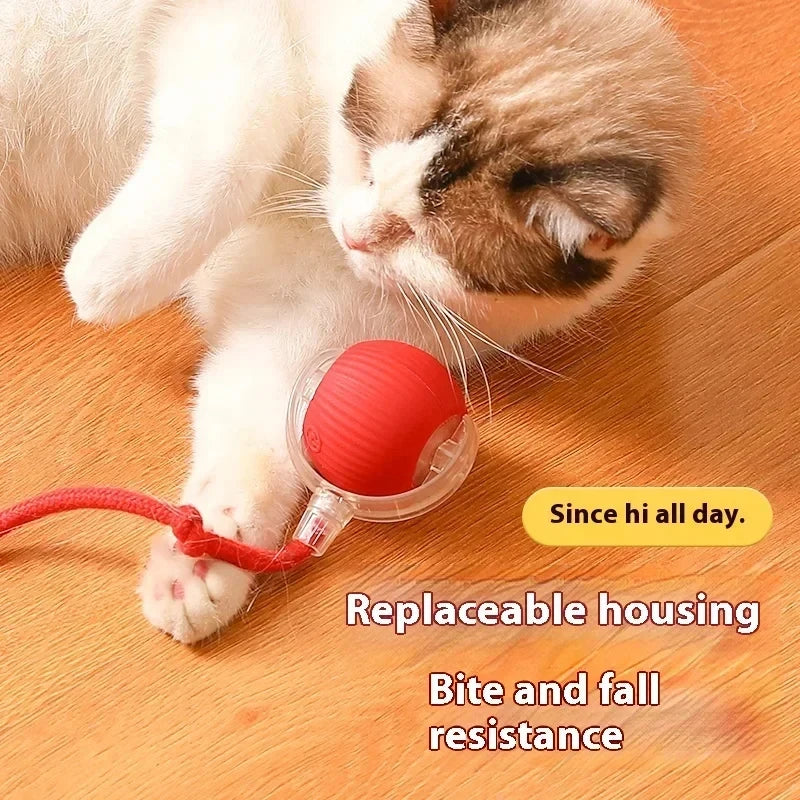 Rechargeable Automatic Rolling Ball Cat Toy Imitates Mouse