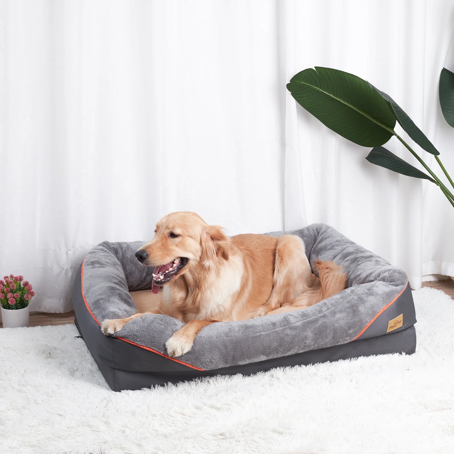 BINGOPAWCN Dog Bed Removable Washable Cover Anti Allergy