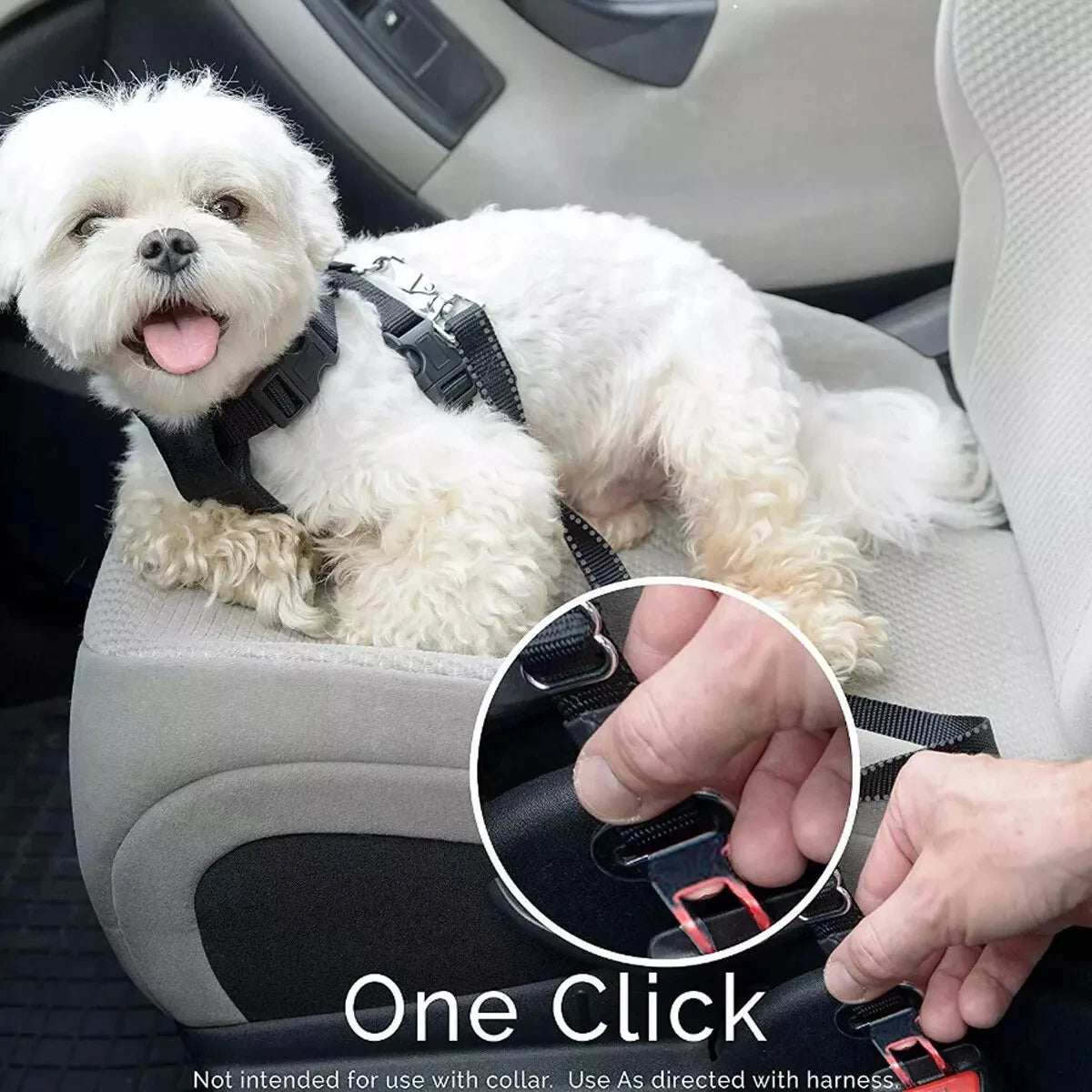 Car Dog Seat Cover Back Seat Waterproof Nonslip Protector