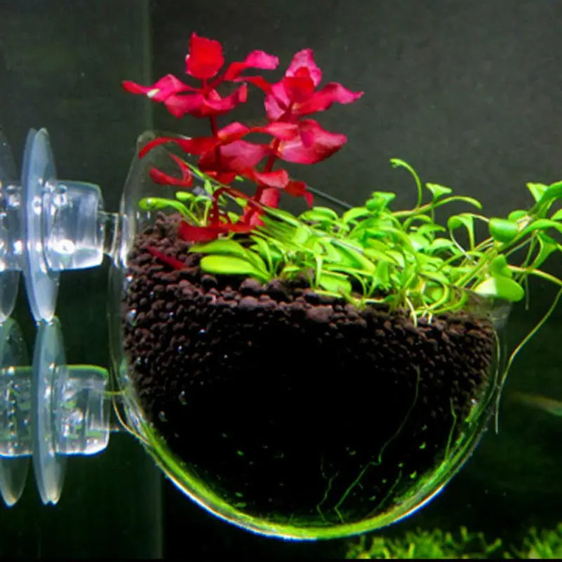 Aquarium Plant Cup With Suction Holder For Aquatic Decorations
